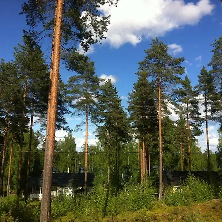 Anttolamokki